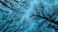 Low angle view of bare tree branches against moody winter sky