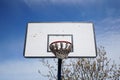 Low angle view of a basketball hoop surrounded by trees under the sunlight and a blue sky Royalty Free Stock Photo