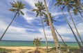 The view of Pantai Jambu Bongkok Beach with soaring coconut trees at Terengganu, Malaysia. Royalty Free Stock Photo