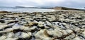 Beautiful drakes Beach in California