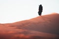 Low angle view beautiful woman in long dress barefoot follow walk on KAshan desert dunes Royalty Free Stock Photo
