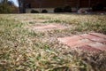 Low angle view of brick paving in grass