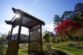 Low angle view of the canopy in the public park Royalty Free Stock Photo