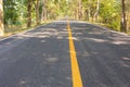 Low angle view of concrete road with yellow line in the long way as perspective background shows beautiful trees and sunlight in Royalty Free Stock Photo