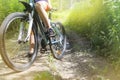 Low angle view of cyclist riding mountain bike on forest trail at sunset Royalty Free Stock Photo