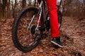 Low angle view of cyclist riding mountain bike on trail at sunrise in the forest Royalty Free Stock Photo