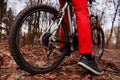 Low angle view of cyclist riding mountain bike on trail at sunrise in the forest Royalty Free Stock Photo