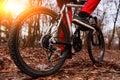 Low angle view of cyclist riding mountain bike on trail at sunrise in the forest Royalty Free Stock Photo