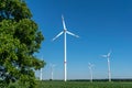 Low angle view of five wind power turbines, part of a wind farm, on a green field in eastern Germany near the city of Cottbus. Royalty Free Stock Photo