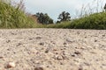 Low angle view on an gravel road leading to an unknonwn point in the forest. Diminishing perspective. Selective focus