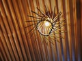 Low Angle View of Hanging Illuminated Light Bulb on Wooden Planks Ceiling Royalty Free Stock Photo