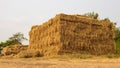 Low angle view. Heaps of straw bales from harvested rice fields piled up in dense rows Royalty Free Stock Photo