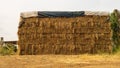 A low angle view. Heaps of straw bales taken from the harvested rice fields stacked Royalty Free Stock Photo