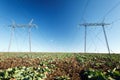 Low angle view of High voltage power lines running through agricultural fields in flat-lands on a clear sunny late winter day. Royalty Free Stock Photo