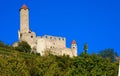 Low angle view of the Hornberg Castle surrounded by greenery under a blue sky in Germany