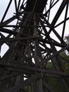 Low angle view of impressive historic railroad bridge Kinsol Trestle made of wooden planks located on Vancouver Island, Canada. Royalty Free Stock Photo