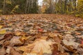 Low Angle View of Leaves Covering Carraige Road Royalty Free Stock Photo