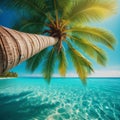 A low-angle view looking from under a palm tree leaning out over crystal-clear ocean waters