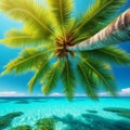 A low-angle view looking from under a palm tree leaning out over crystal-clear ocean waters