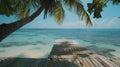 A low-angle view looking from under a palm tree leaning out over crystal-clear ocean waters