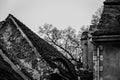 Low-angle view of modern buildings in black and white Royalty Free Stock Photo