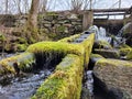 Low angle view of a mossy rock cascade against a brick wall