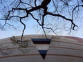 Low angle view of an office building against blue sky with a bare tree Royalty Free Stock Photo