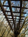 Low angle view of an old wooden fence high in the trees against blue sky Royalty Free Stock Photo