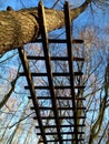 Low angle view of an old wooden fence high in the trees against blue sky Royalty Free Stock Photo