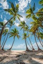 low angle view of palms over the blue sky. tropical vacation sea summer Royalty Free Stock Photo