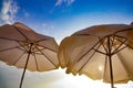 White beach umbrellas backlit by sun Royalty Free Stock Photo