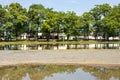 A low angle view, reflections of water, rows of trees on slate stone ground near buildings