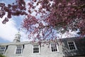 Low-angle view of the roof and crab apple flowers Royalty Free Stock Photo