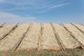 Upward view row of bamboo fences with Vietnamese rice vermicelli drying in the sun outside of Hanoi, Vietnam Royalty Free Stock Photo