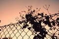 low angle view of silhouette fence against sky during sunset