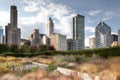 Low angle view of skyscrapers in a city, Chicago, Cook County, I Royalty Free Stock Photo