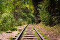 Low angle view of small railway tracks in mountain region with shallow depth of field Royalty Free Stock Photo