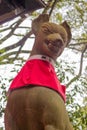 Low angle view of statue of the fox kitsune god inari,wearing a red bib, at a shinto shrine in Kyoto, Japan