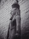 Low angle view of the statue of Ramesses II in Egypt