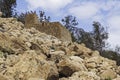 Mamluk Era Flour Mill at Ein Gedi Spring in Israel