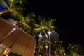 Low angle view of tall palm trees and illuminated buildings at night