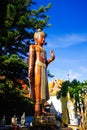 Low angle view on teaching Buddha statue Dharma Chakra against conifer tree and blue