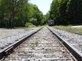 Low angle view of train tracks and train carriage in the woods Royalty Free Stock Photo