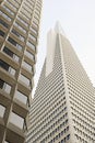 Low angle view of the Transamerica Pyramid San Francisco designed by William Pereira