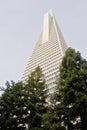 Low angle view of the Transamerica Pyramid San Francisco designed by William Pereira Royalty Free Stock Photo