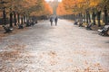 Low angle view of tree lined avenue in Regent`s Park of London Royalty Free Stock Photo