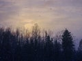 Low angle view of trees against cloudy sky during snowy weather Royalty Free Stock Photo