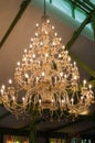 A low-angle view of vintage chandelier on the ceiling Royalty Free Stock Photo