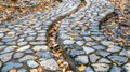 Cobblestone paths with autumn leaves Royalty Free Stock Photo