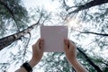 Low angle view of woman hands holding white paper with pine tree forest background Royalty Free Stock Photo